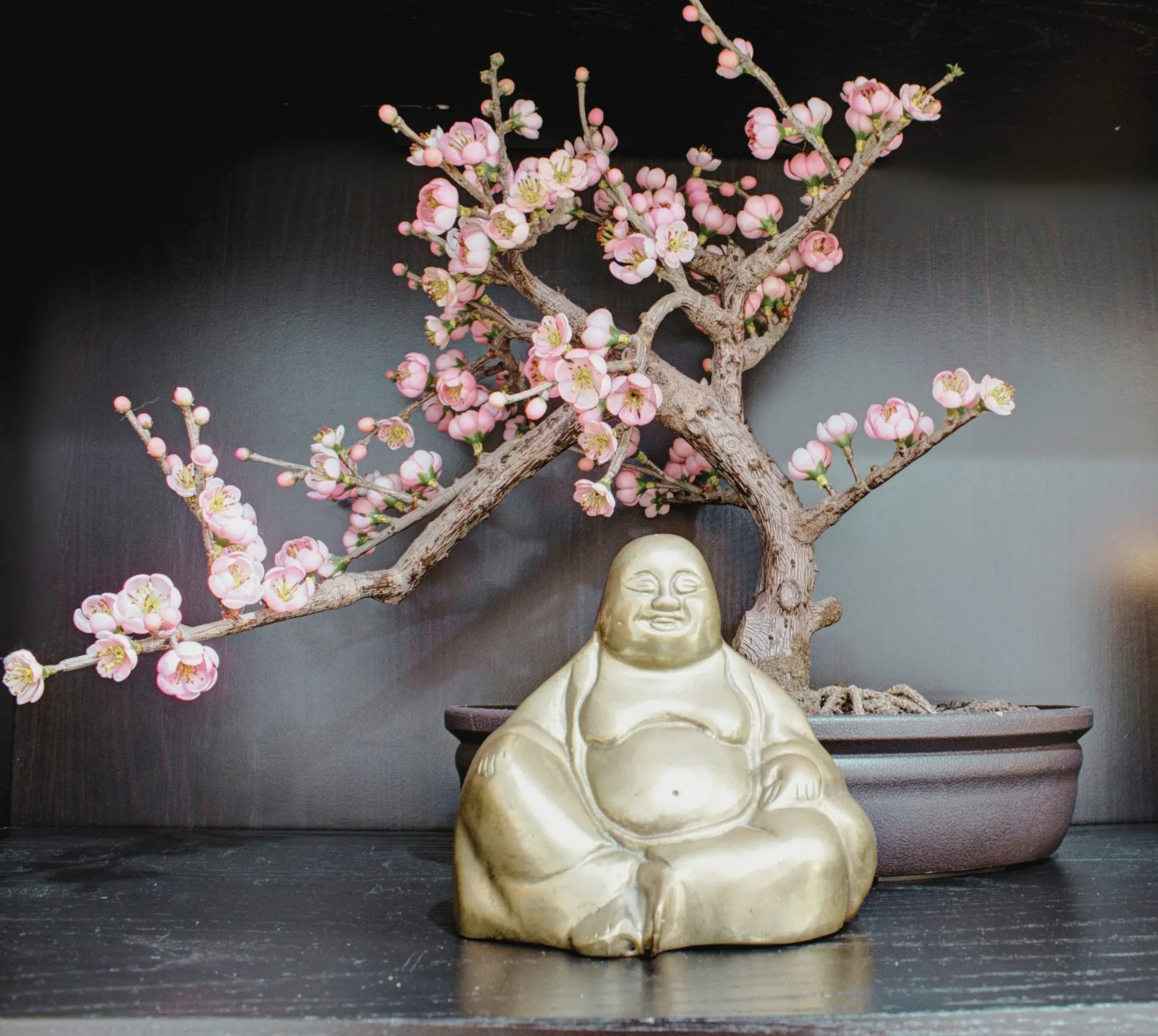Traditional Chinese Medicine and holistic acupuncture care in Montclair and Jersey City NJ